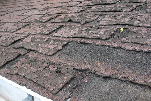 Failed asphalt shingles lifted from the deck, the point where a roof leak starts